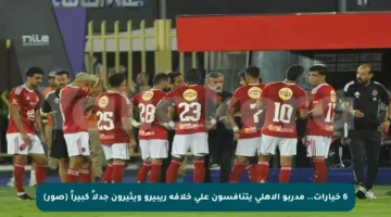 6 خيارات.. مدربو الأهلي يتنافسون على خلافة ريبيرو ويثيرون جدلاً كبيراً (صور)